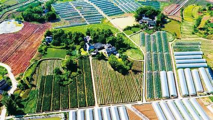 铜梁太平镇 家禽产业“微笑曲线”的延伸与升级