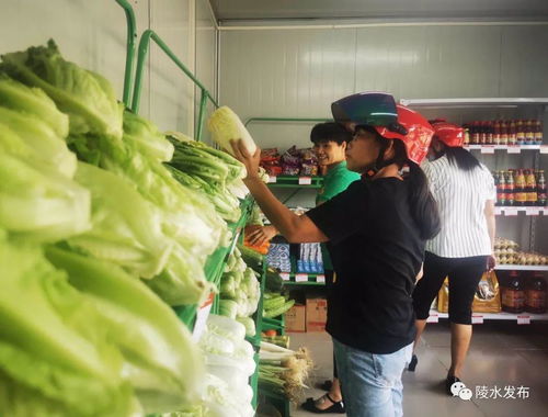 陵水新增两处平价菜便民网点 家禽销售助力市民就近采购